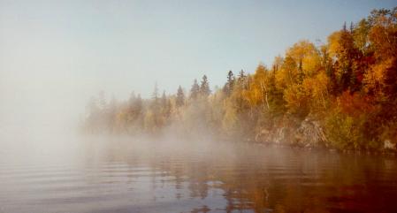 morgendlicher Nebel